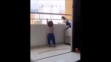 Pas besoin d'un babysitter quand on a ce chat !