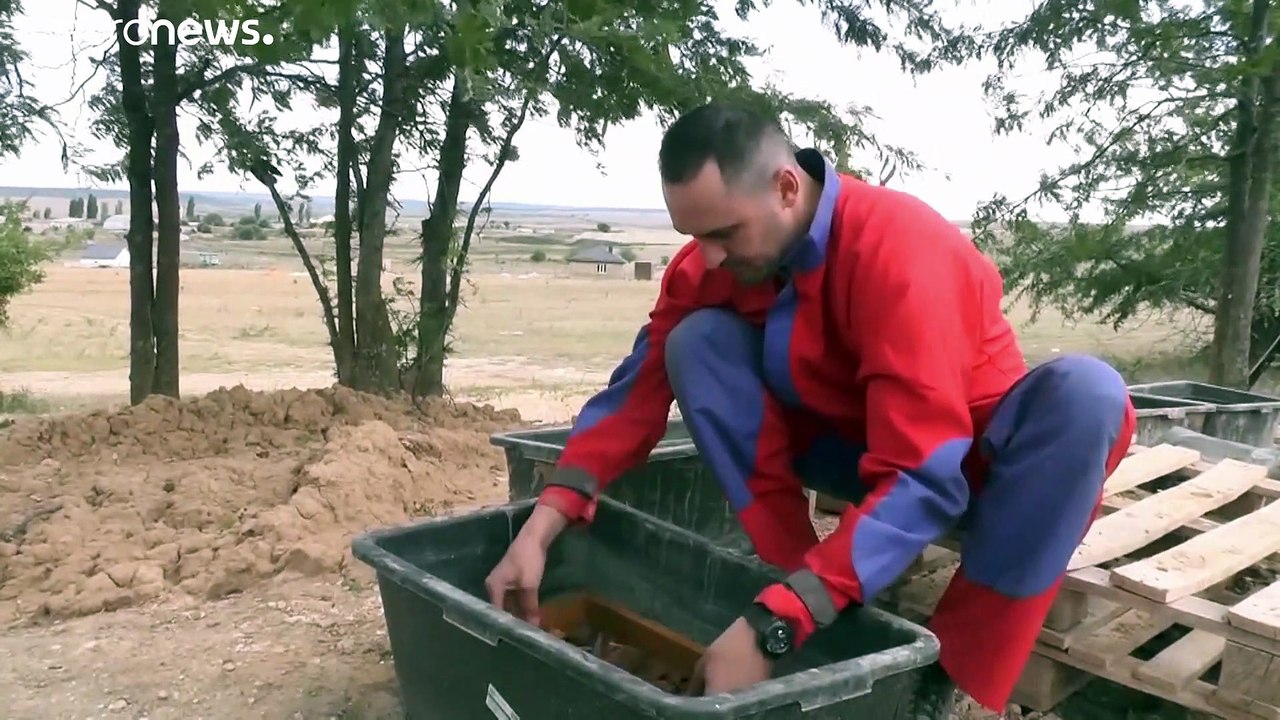 Schädel von prähistorischer Riesenhyäne entdeckt