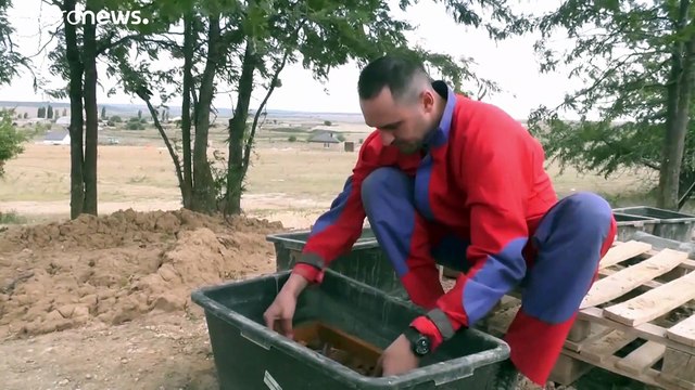 Schädel von prähistorischer Riesenhyäne entdeckt