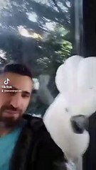 neredesin ay yüzlüm