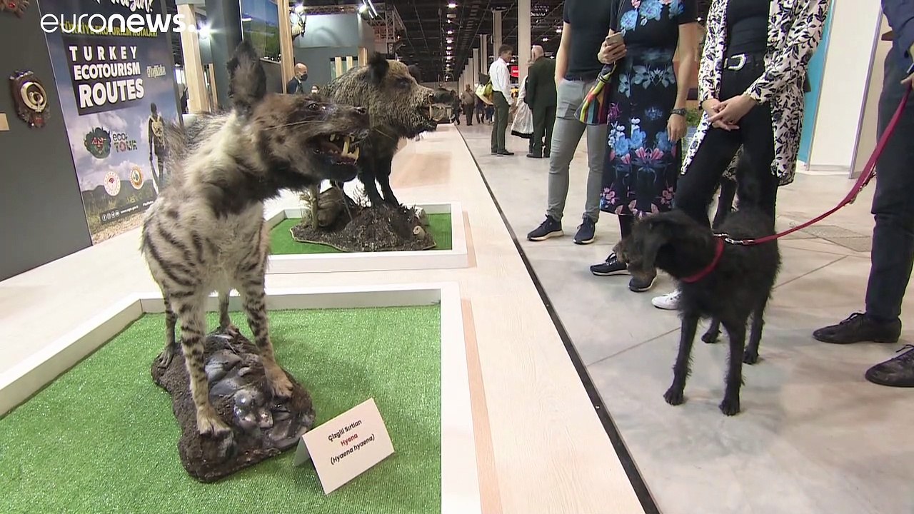 Jagdausstellung in Budapest