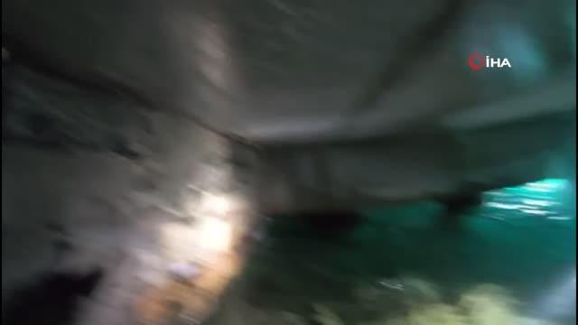 Beykoz İskelesi'nde mahsur kalan kedi Sahil Güvenlik Komutanlığı ekiplerince kurtarıldı