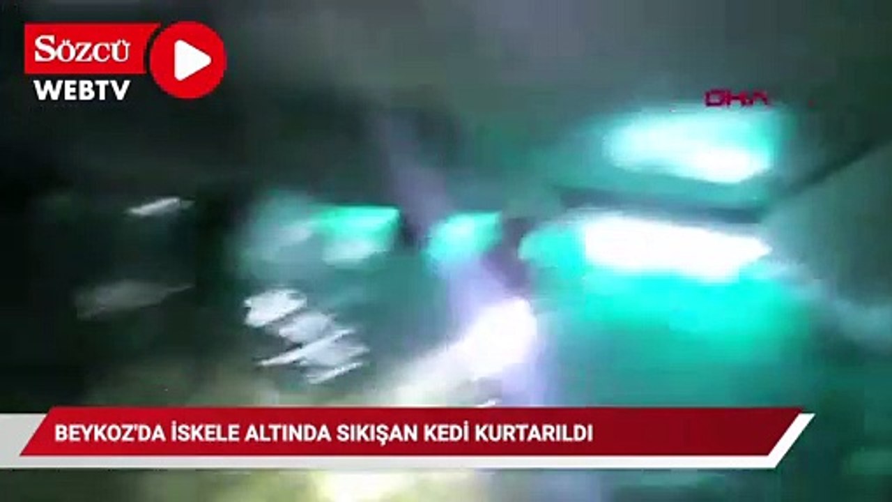 Beykoz'da iskele altında sıkışan kedi kurtarıldı
