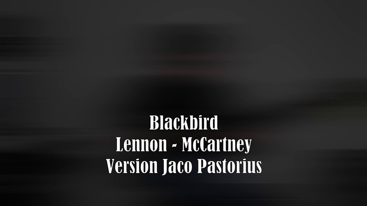 Blackbird