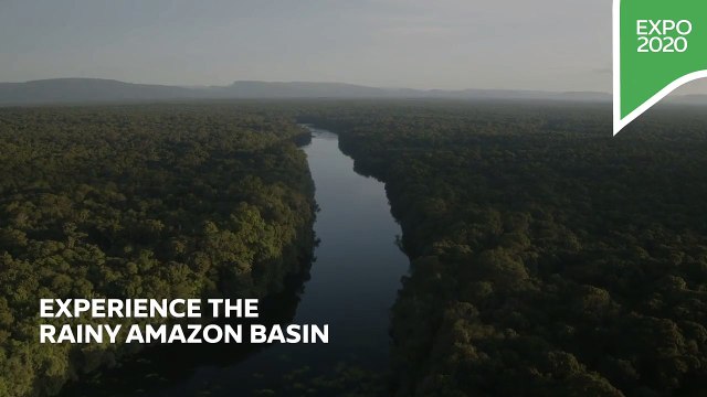 Step inside the Brazil Pavilion at Expo 2021