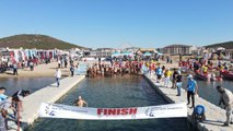 BALIKESİR - Açık Su Yüzme Şampiyonası, Ayvalık'ta yapıldı