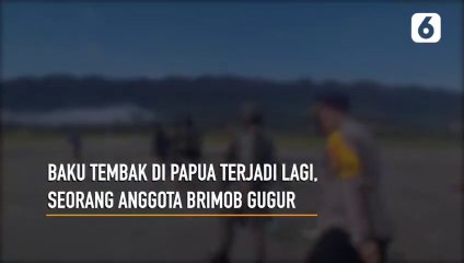 Menegangkan!! Evakuasi Jenazah Anggota Brimob di Tengah Tembakan KKB Papua