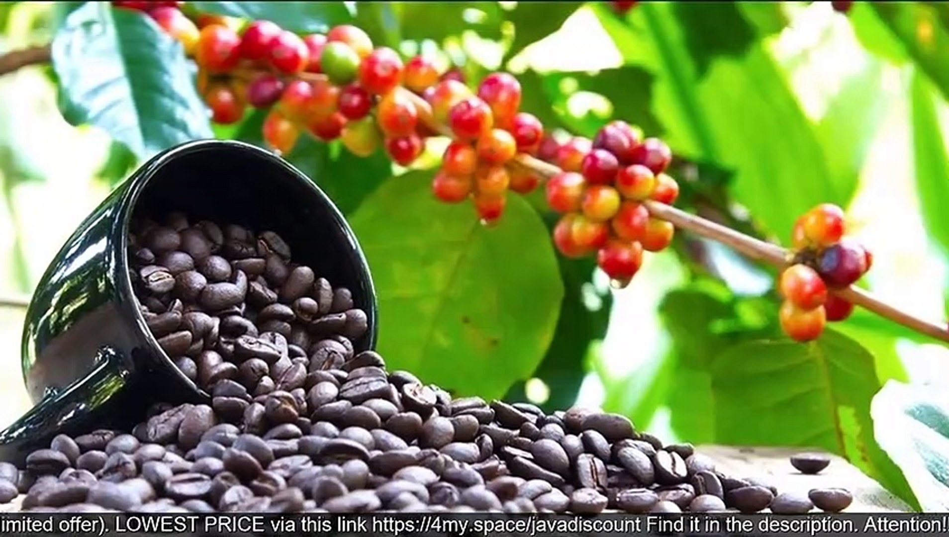 How To Take Java Burn - Java Burn Discount