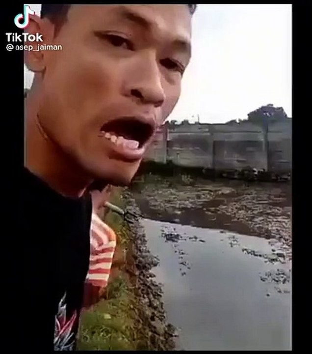 story wa