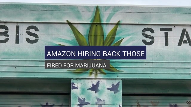 Amazon Hiring Back Those Fired for Marijuana