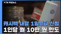 캐시백, 다음 달 1일부터 신청...1인당 월 10만 원 한도 / YTN