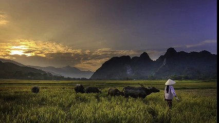 Relaxing music relaxing music childhood memories original suling kecapi