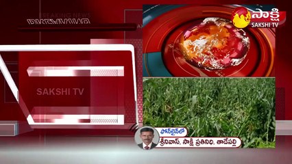 కాసేపట్లో జిల్లా కలెక్టర్లతో సీఎం జగన్ వీడియో కాన్ఫరెన్స్