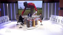 Made In Africa : Enquête sur le marché des engrais en Côte d'Ivoire