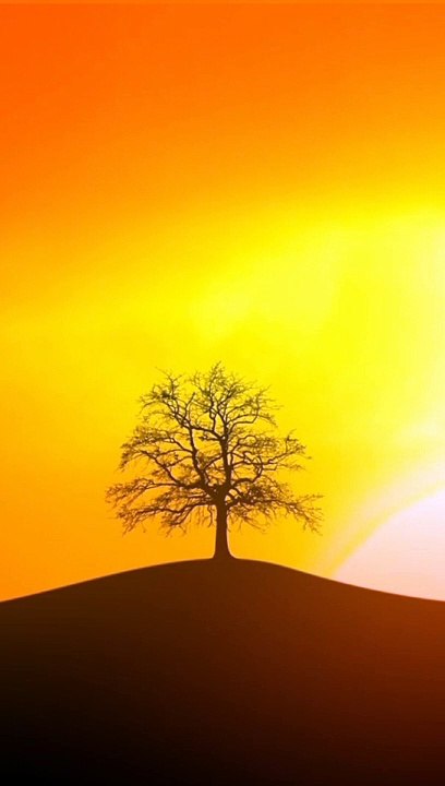 Wonderful Relaxing Music-Rising sun 2