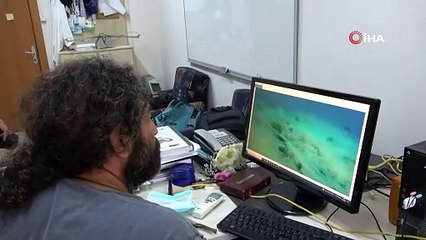 Mersin sahilleri müsilaj tehlikesi altında