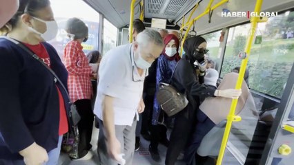 Otobüse binen 'gezgin köpek' yolcuların ilgi odağı oldu