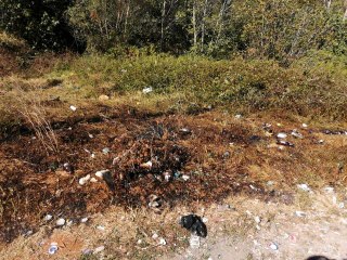 Son dakika haber... Kağıthane'de yeşil alanı yakan şahıs, kaza yapınca yakaladı