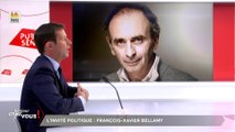 François-Xavier Bellamy : « Éric Zemmour a le mérite de poser une question fondamentale. »