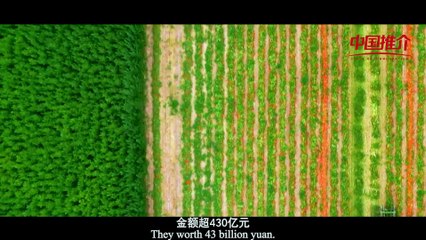 《中国推介•与国同梦》国投创益 助力美好未来 SDIC Chuangyi, the Driving Force of the Promising Future