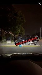 Cuneo, la follia di un uomo in motosega: taglia alberi in strada