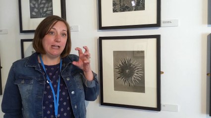 Sophie Fullerlove, director of The Spring, introduces Karl Blossfeldt: Art Forms in Nature