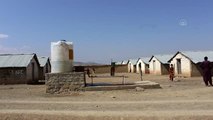 Afganistan'ın Host vilayetindeki mülteciler yardım bekliyor