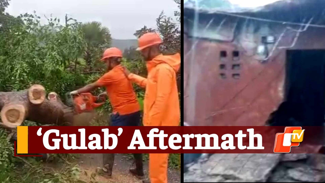 Cyclone Gulab: Impact In Odisha