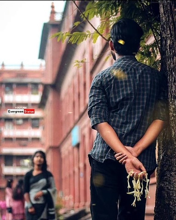 Sed whatsApp status broken status 2021