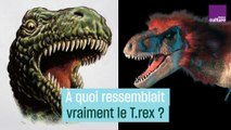 Gros dindon au grand lézard... À quoi ressemblait vraiment le T. rex ?