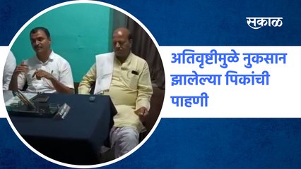 crop damage due to rain | अतिवृष्टीमुळे नुकसान झालेल्या पिकांची पाहणी | Sakal Media |