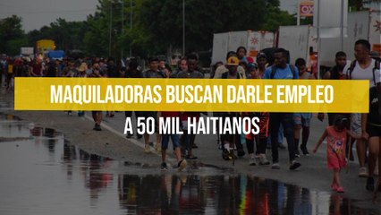 Maquiladoras buscan darle empleo a 50 mil haitianos