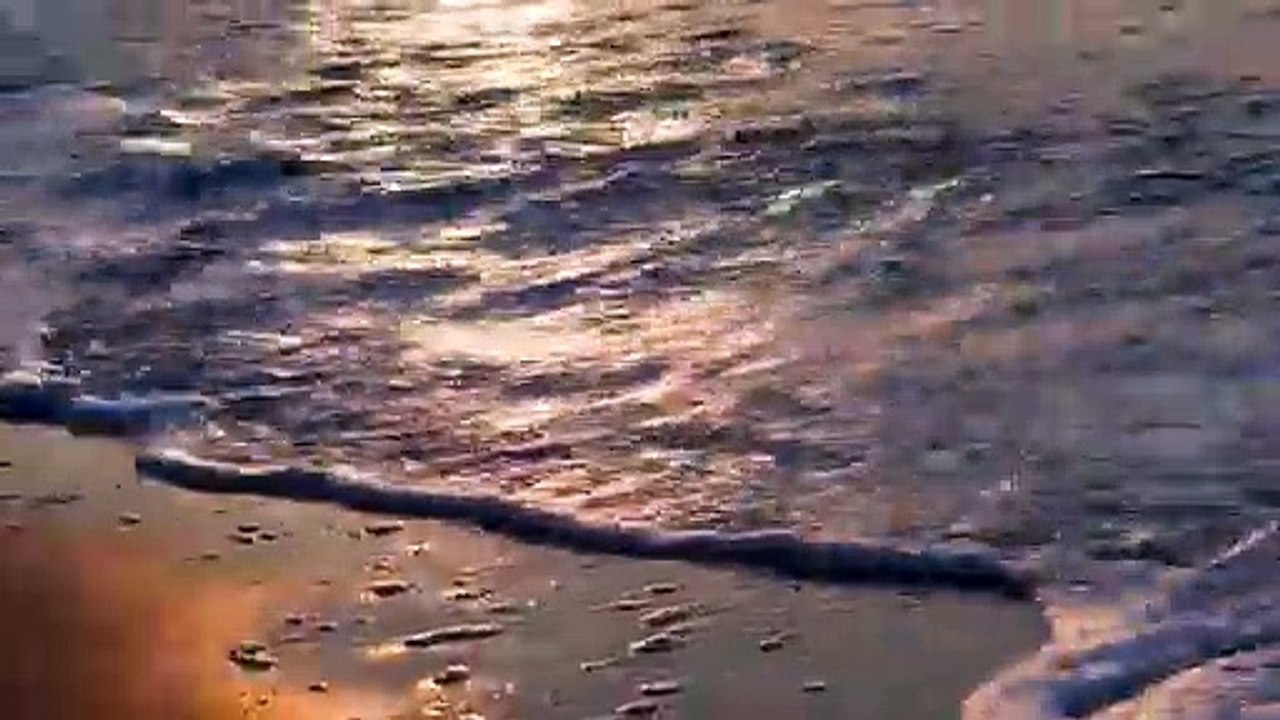 Golden Waving Sea