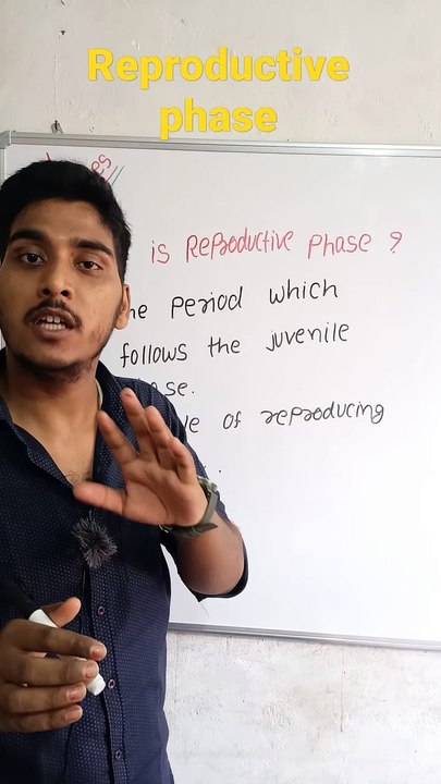 Reproductive phase | Reproductive phase in Hindi | Reproductive phase biology | what is Reproductive phase #cityclasses