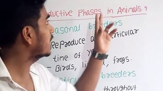 Reproductive phase in animals | Reproductive phase in animals in Hindi | Reproductive phase in animals biology | what is Reproductive phase in animals #cityclasses