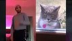 KUCING LUCU Video kucing terlucu 2020 bikin ketawa ngakak Kucing Imut