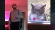 KUCING LUCU Video kucing terlucu 2020 bikin ketawa ngakak Kucing Imut