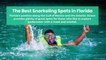 The Best Snorkeling Spots in Florida