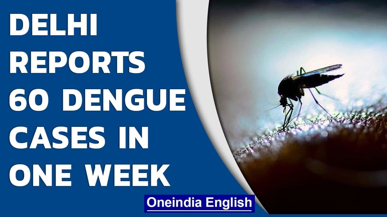 Delhi reports 273 dengue cases in Delhi this year, 149 in September & 60 in last week |Oneindia News