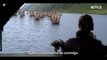 Vikingos: Valhalla - Teaser primeras imágenes Netflix