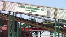 Amasya Şeker Fabrikası'nda 68. pancar alım kampanyası başladı