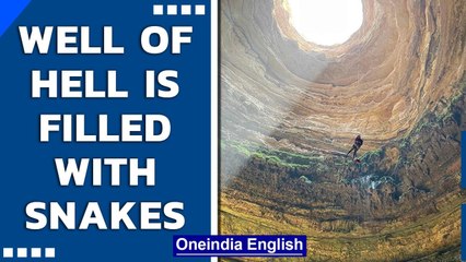 Yemen’s Well of Hell is filled with snakes, reveals Omani cavers | Oneindia News