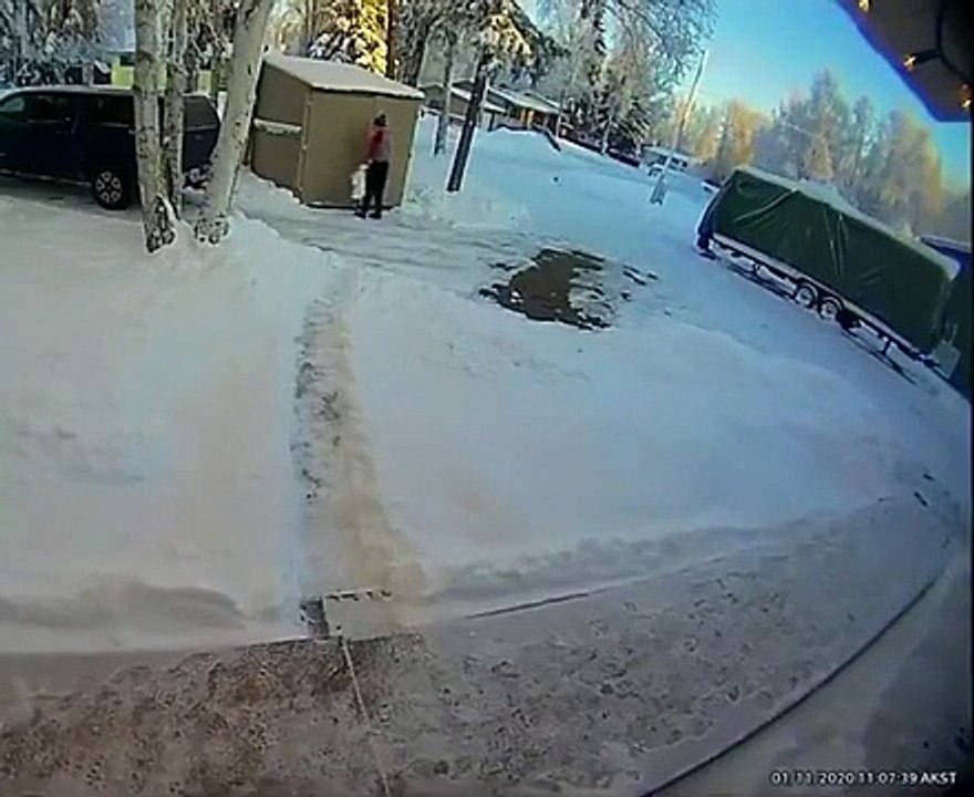 Au canada, tu ne peux pas sortir tes poubelles tranquille...