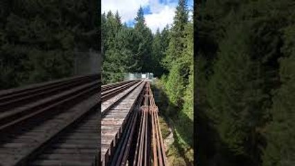 Cougar Encounter at Goldstream Trestle