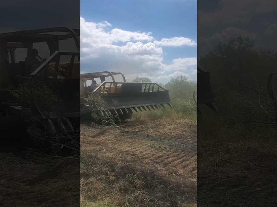 Anchor Chain Brush Clearing