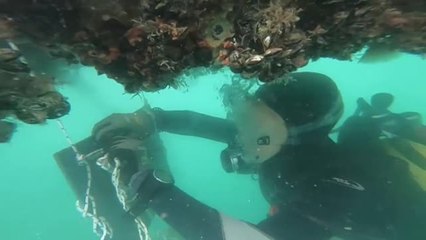 Italia: una bahía inteligente para entender el cambio climático