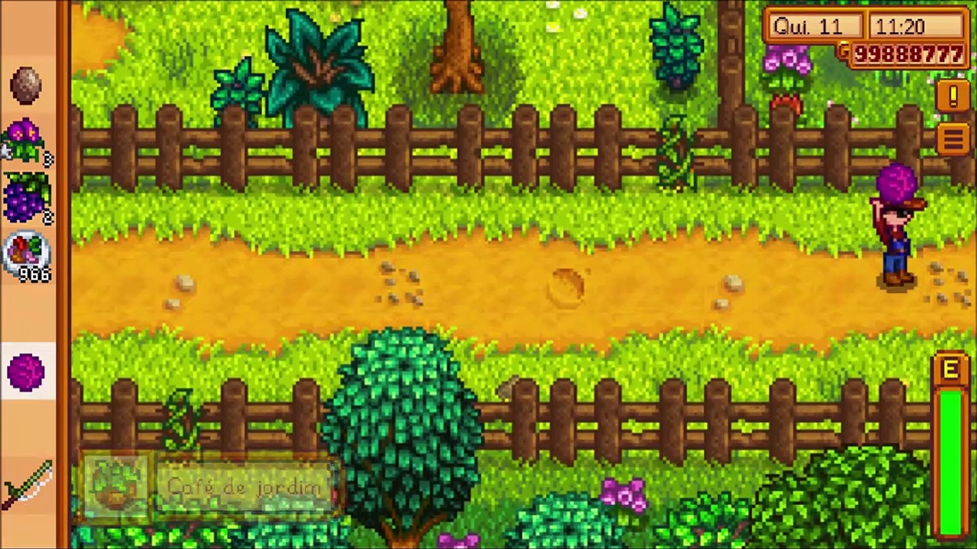 Stardew Valley – Entre Mundos