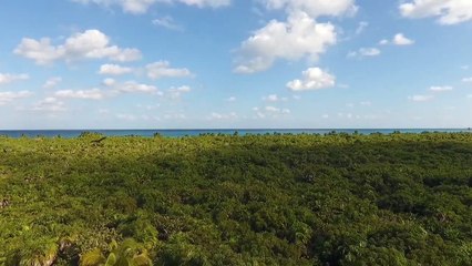 Beautiful Relaxing Music for Stress Relief _ Meditation Music, Sleep Music, Ambient Nature Music