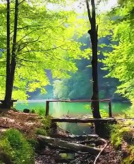 شاهد جمال الخالق - منظر روعة مريح للعين Watch the beauty of the creator