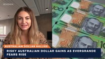 Australian Dollar Rallies